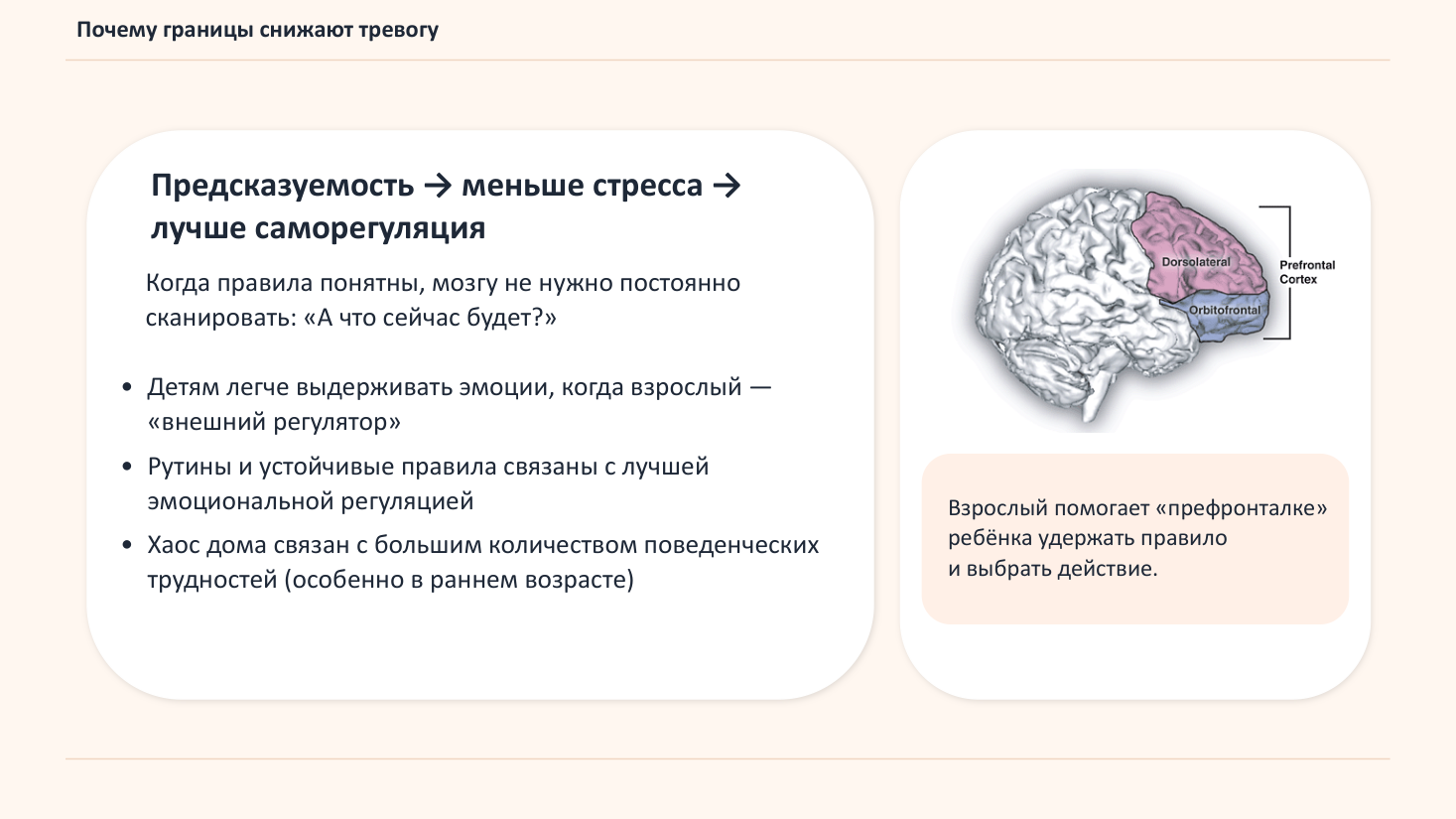 Схема: предсказуемость снижает стресс ребёнка и улучшает саморегуляцию. Взрослый помогает префронтальной коре ребёнка удержать правило